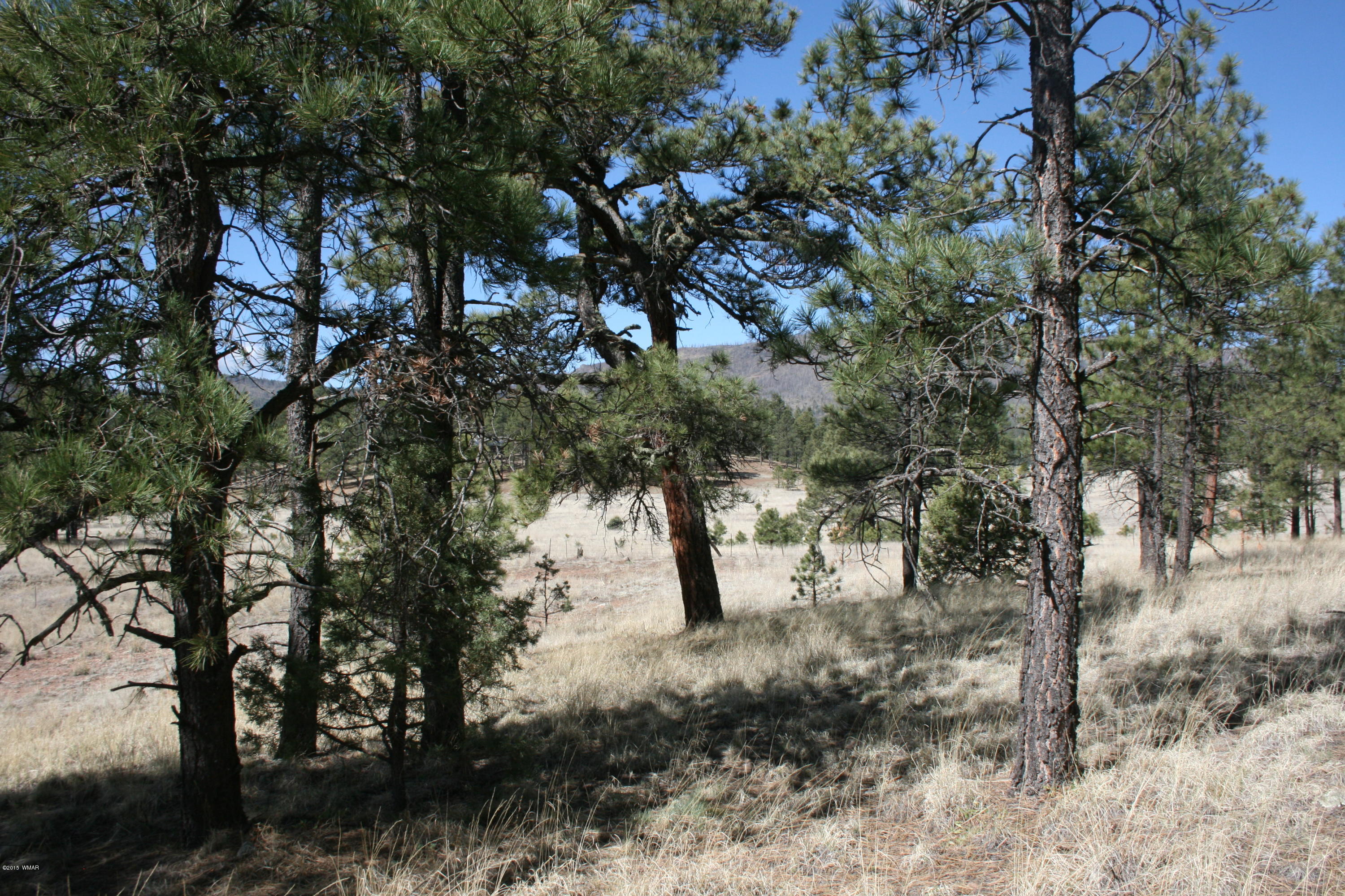 11 B L Z Ranch Road Alpine, AZ 85920 - Photo 20 of 43