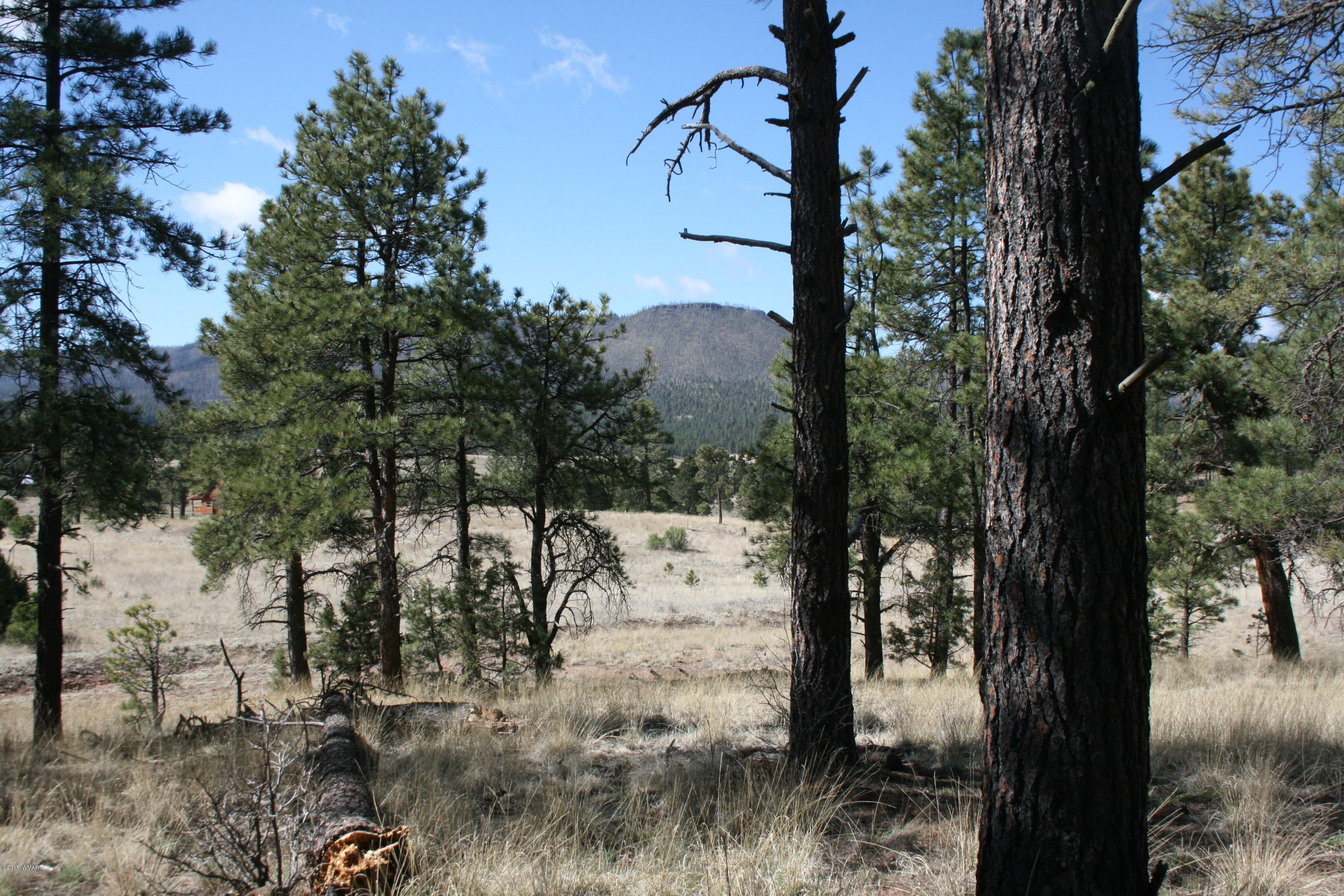 11 B L Z Ranch Road Alpine, AZ 85920 - Photo 2 of 43