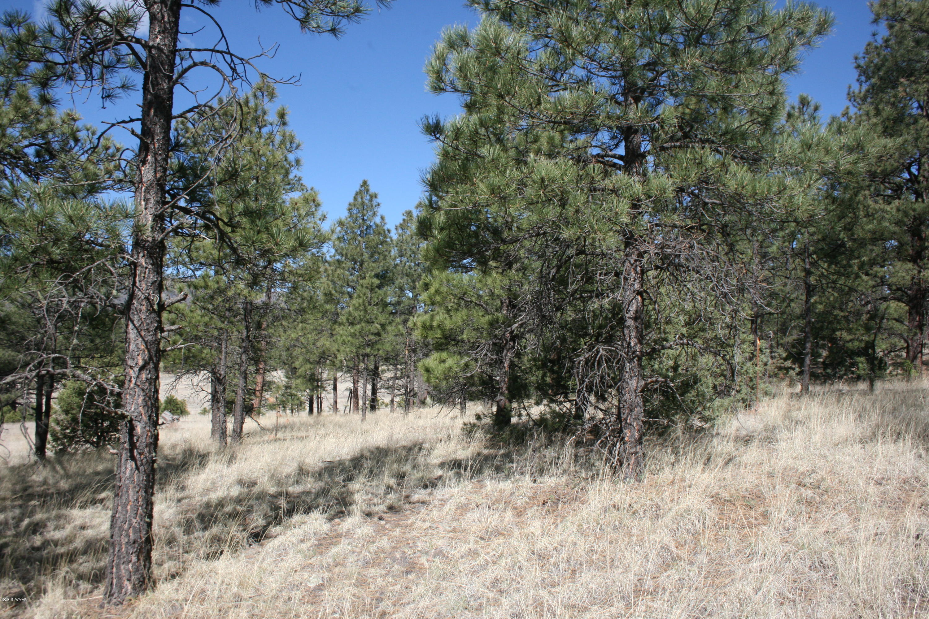 11 B L Z Ranch Road Alpine, AZ 85920 - Photo 21 of 43