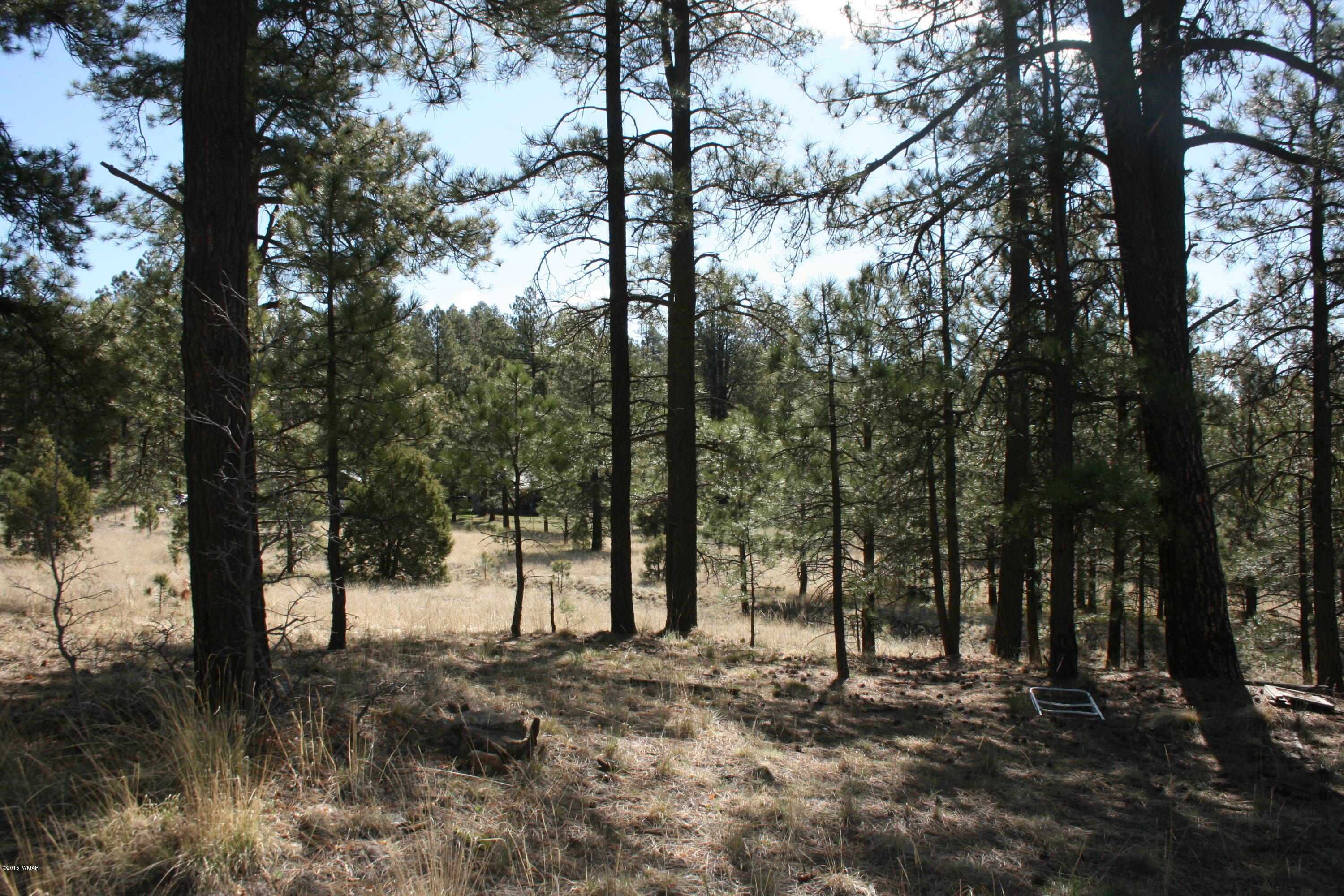 11 B L Z Ranch Road Alpine, AZ 85920 - Photo 23 of 43