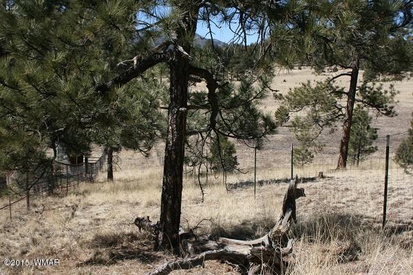 11 B L Z Ranch Road Alpine, AZ 85920 - Photo 24 of 43