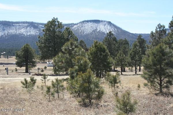 11 B L Z Ranch Road Alpine, AZ 85920 - Photo 25 of 43