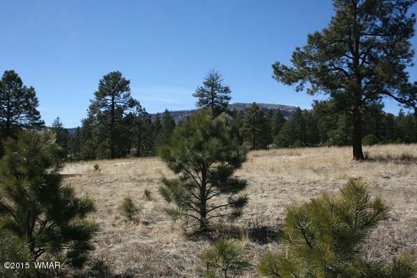 11 B L Z Ranch Road Alpine, AZ 85920 - Photo 27 of 43