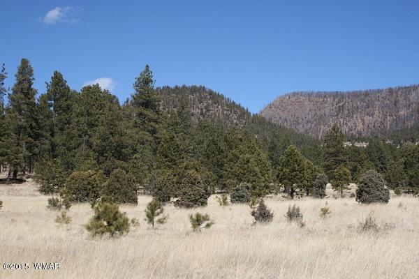 11 B L Z Ranch Road Alpine, AZ 85920 - Photo 28 of 43