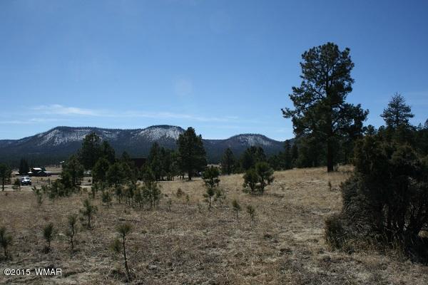 11 B L Z Ranch Road Alpine, AZ 85920 - Photo 29 of 43