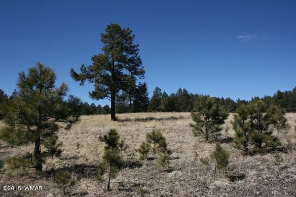 11 B L Z Ranch Road Alpine, AZ 85920 - Photo 30 of 43