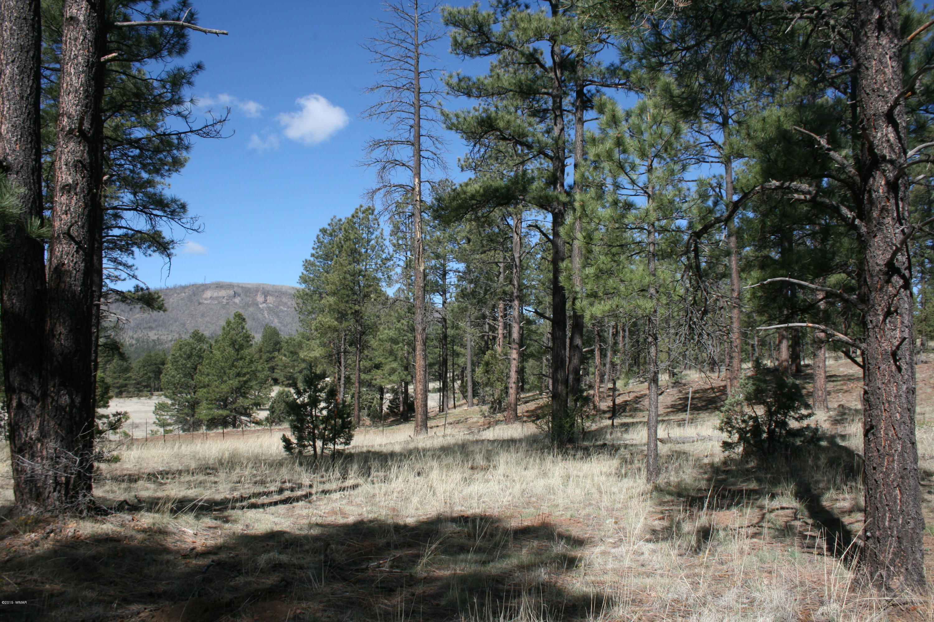 11 B L Z Ranch Road Alpine, AZ 85920 - Photo 3 of 43