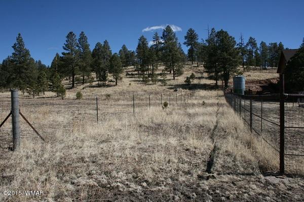 11 B L Z Ranch Road Alpine, AZ 85920 - Photo 31 of 43