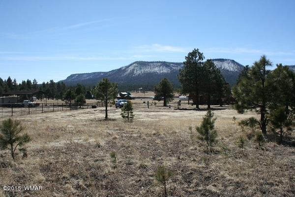 11 B L Z Ranch Road Alpine, AZ 85920 - Photo 32 of 43