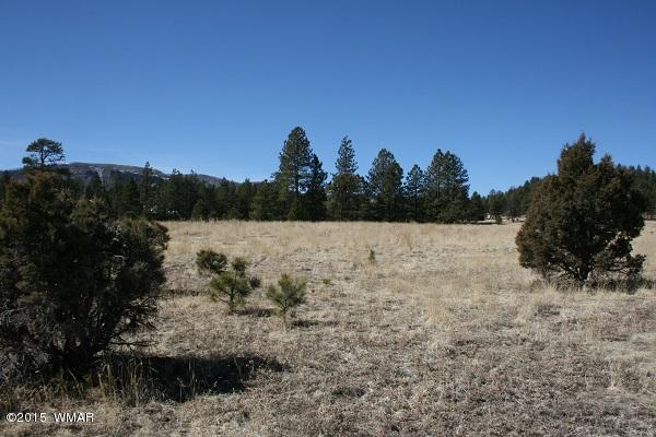 11 B L Z Ranch Road Alpine, AZ 85920 - Photo 33 of 43