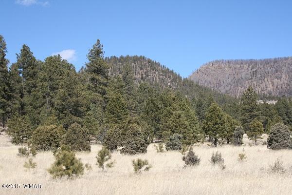 11 B L Z Ranch Road Alpine, AZ 85920 - Photo 34 of 43