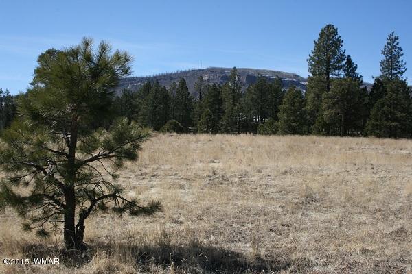 11 B L Z Ranch Road Alpine, AZ 85920 - Photo 35 of 43