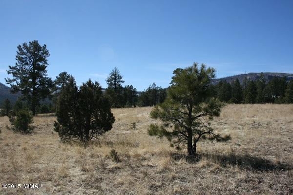 11 B L Z Ranch Road Alpine, AZ 85920 - Photo 36 of 43