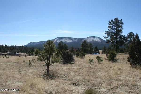 11 B L Z Ranch Road Alpine, AZ 85920 - Photo 37 of 43