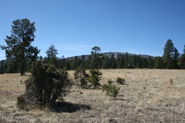 11 B L Z Ranch Road Alpine, AZ 85920 - Photo 38 of 43