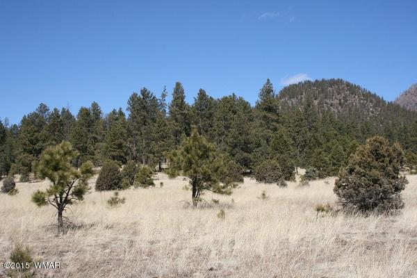 11 B L Z Ranch Road Alpine, AZ 85920 - Photo 39 of 43