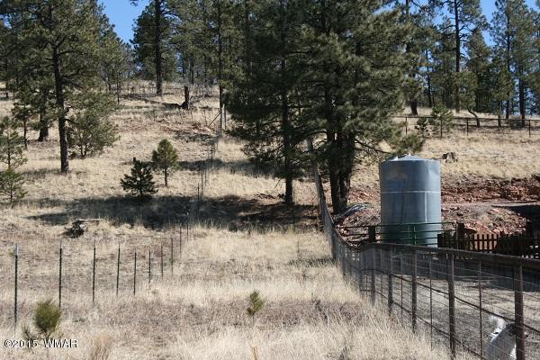11 B L Z Ranch Road Alpine, AZ 85920 - Photo 40 of 43