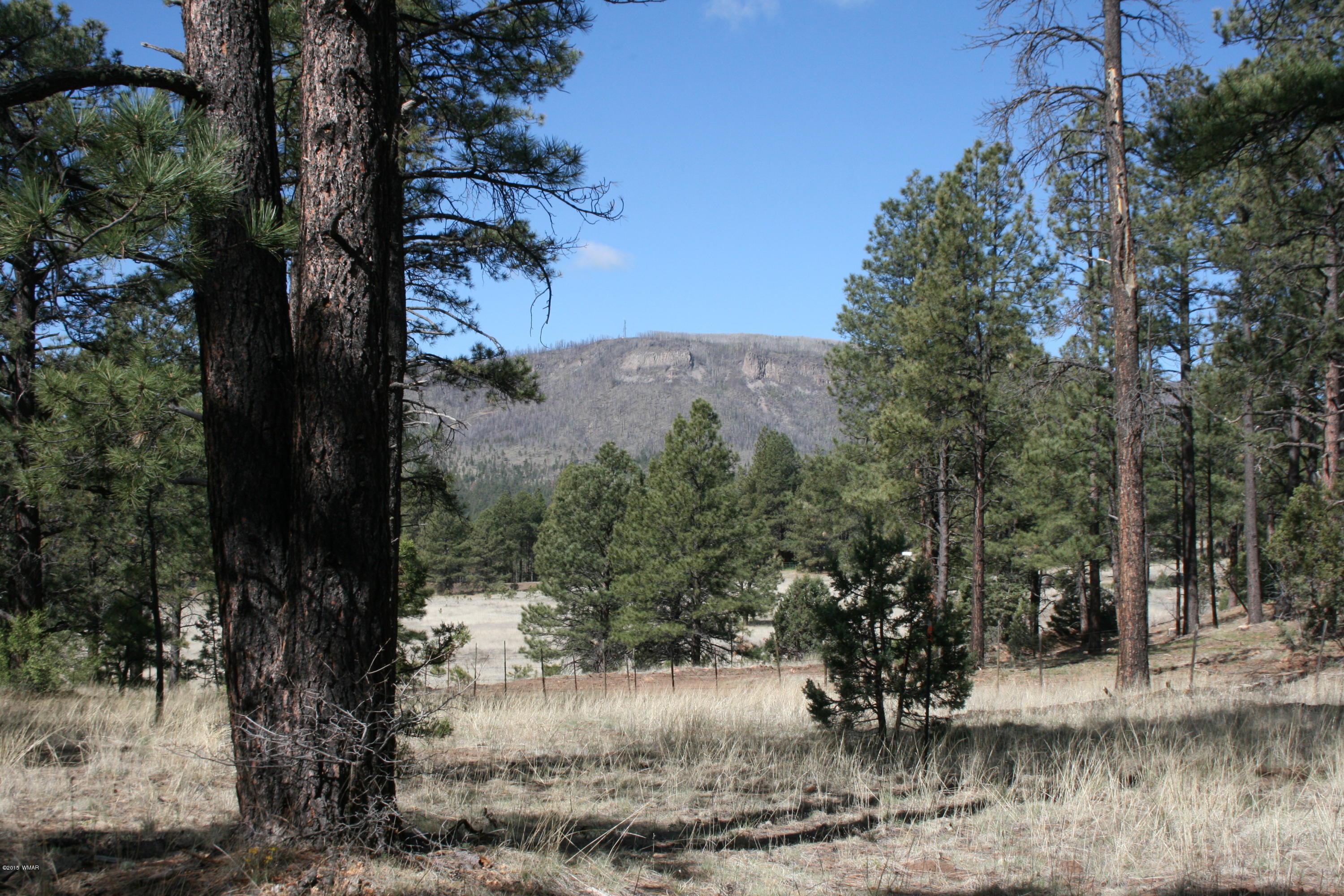 11 B L Z Ranch Road Alpine, AZ 85920 - Photo 4 of 43