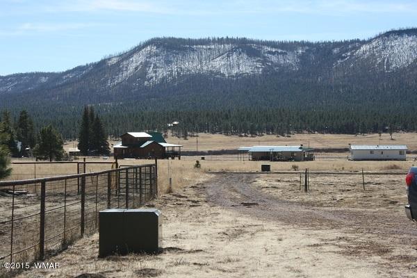 11 B L Z Ranch Road Alpine, AZ 85920 - Photo 41 of 43