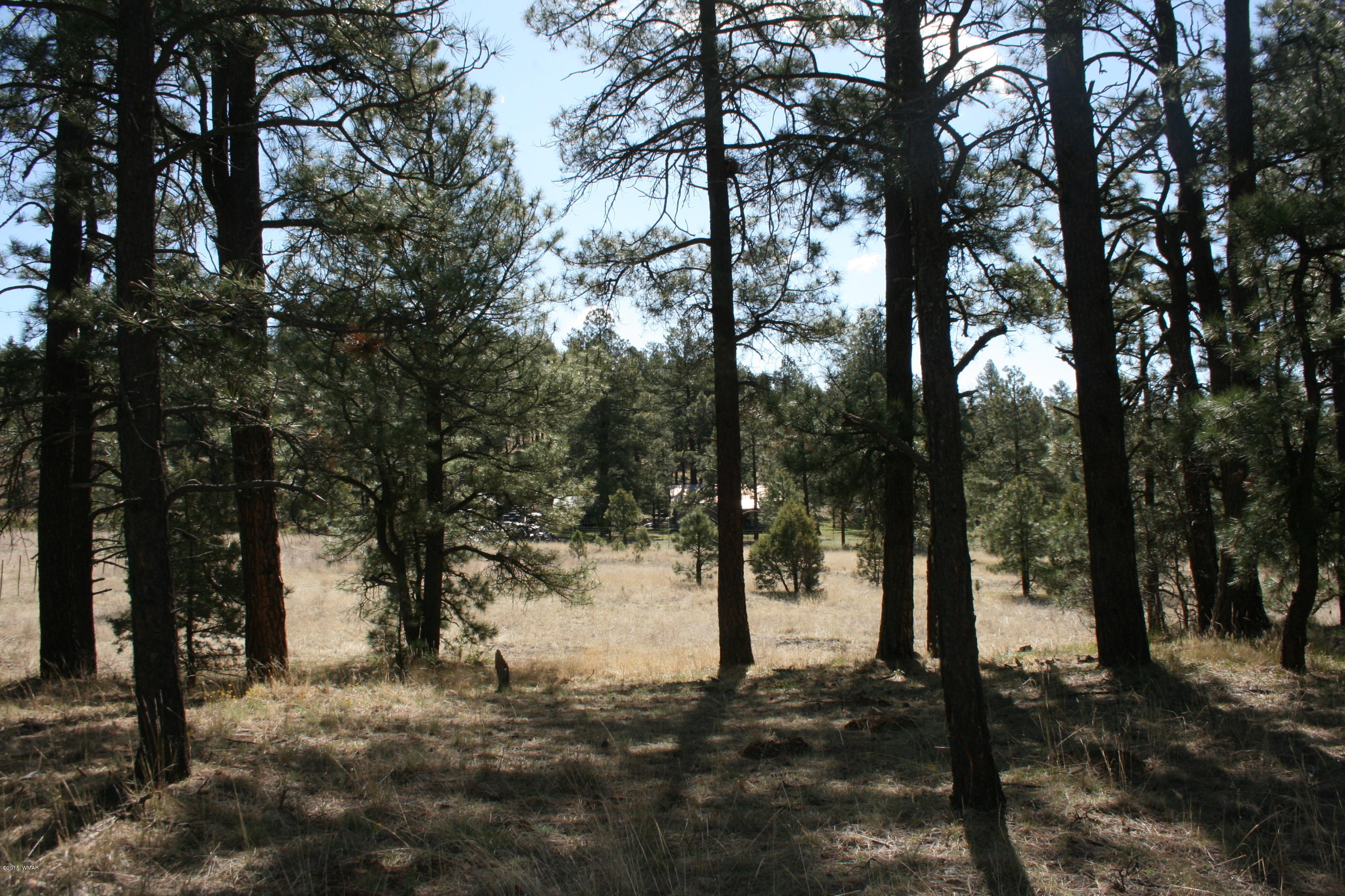 11 B L Z Ranch Road Alpine, AZ 85920 - Photo 5 of 43