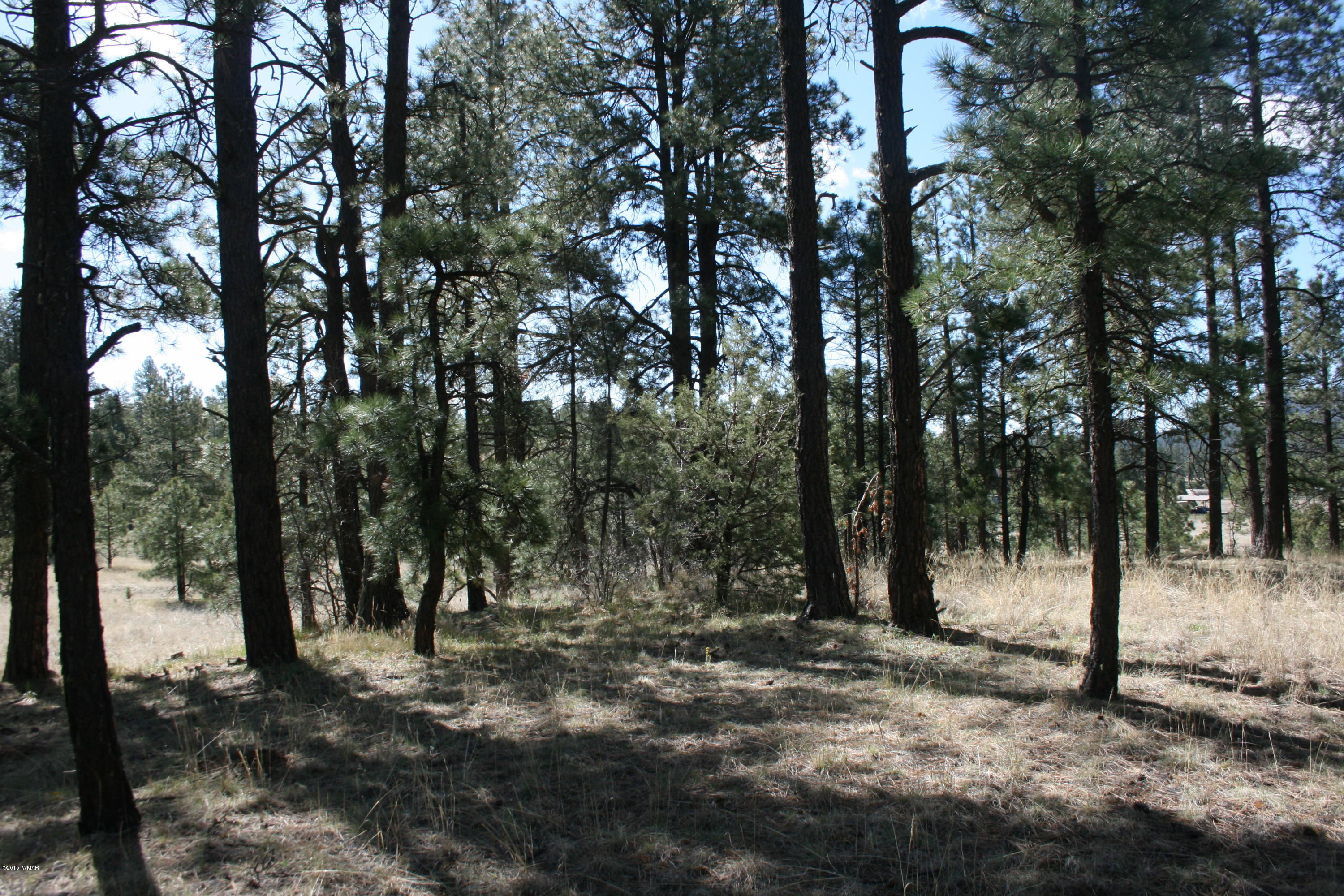 11 B L Z Ranch Road Alpine, AZ 85920 - Photo 7 of 43