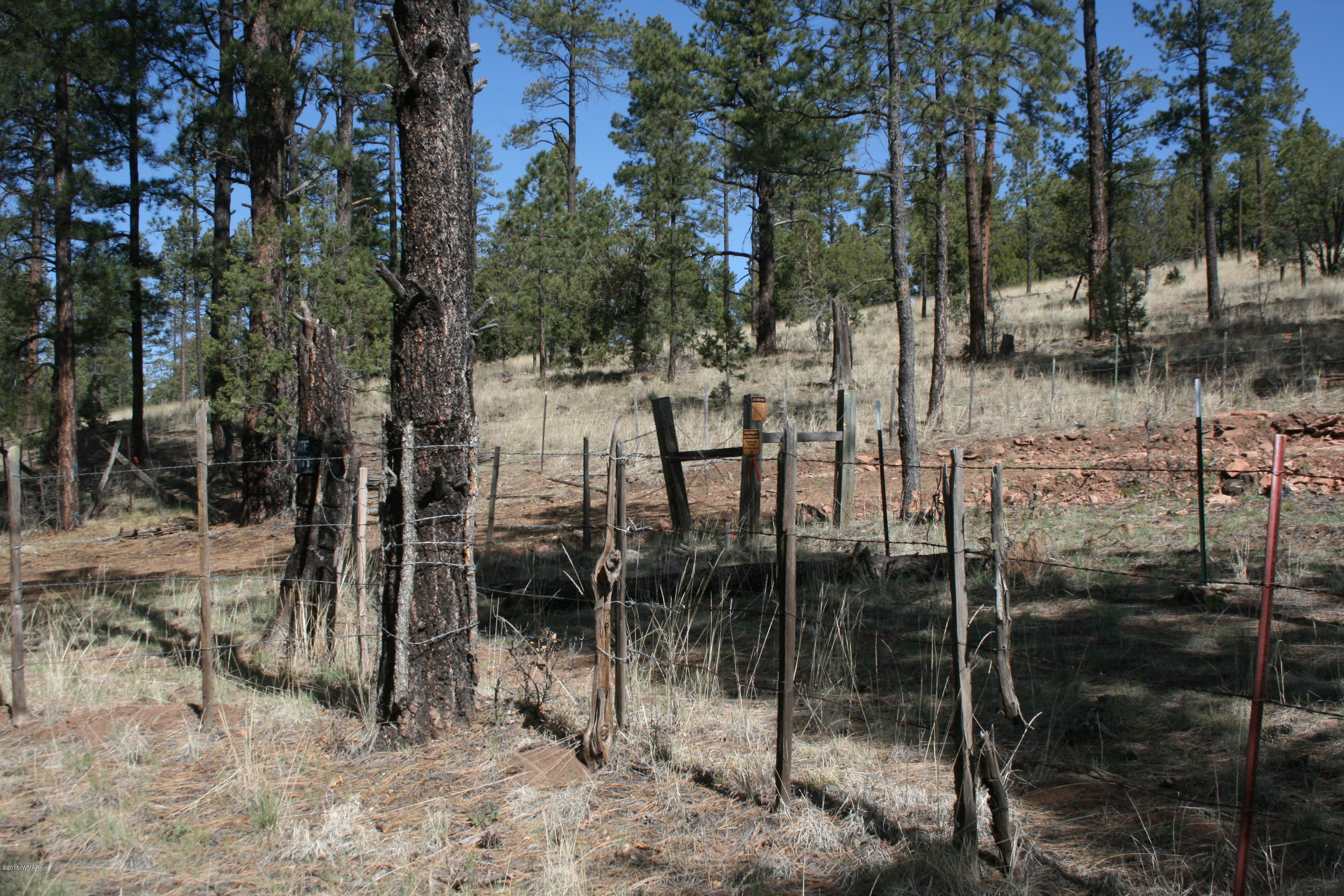 11 B L Z Ranch Road Alpine, AZ 85920 - Photo 9 of 43