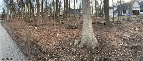 a view of a pathway with a yard