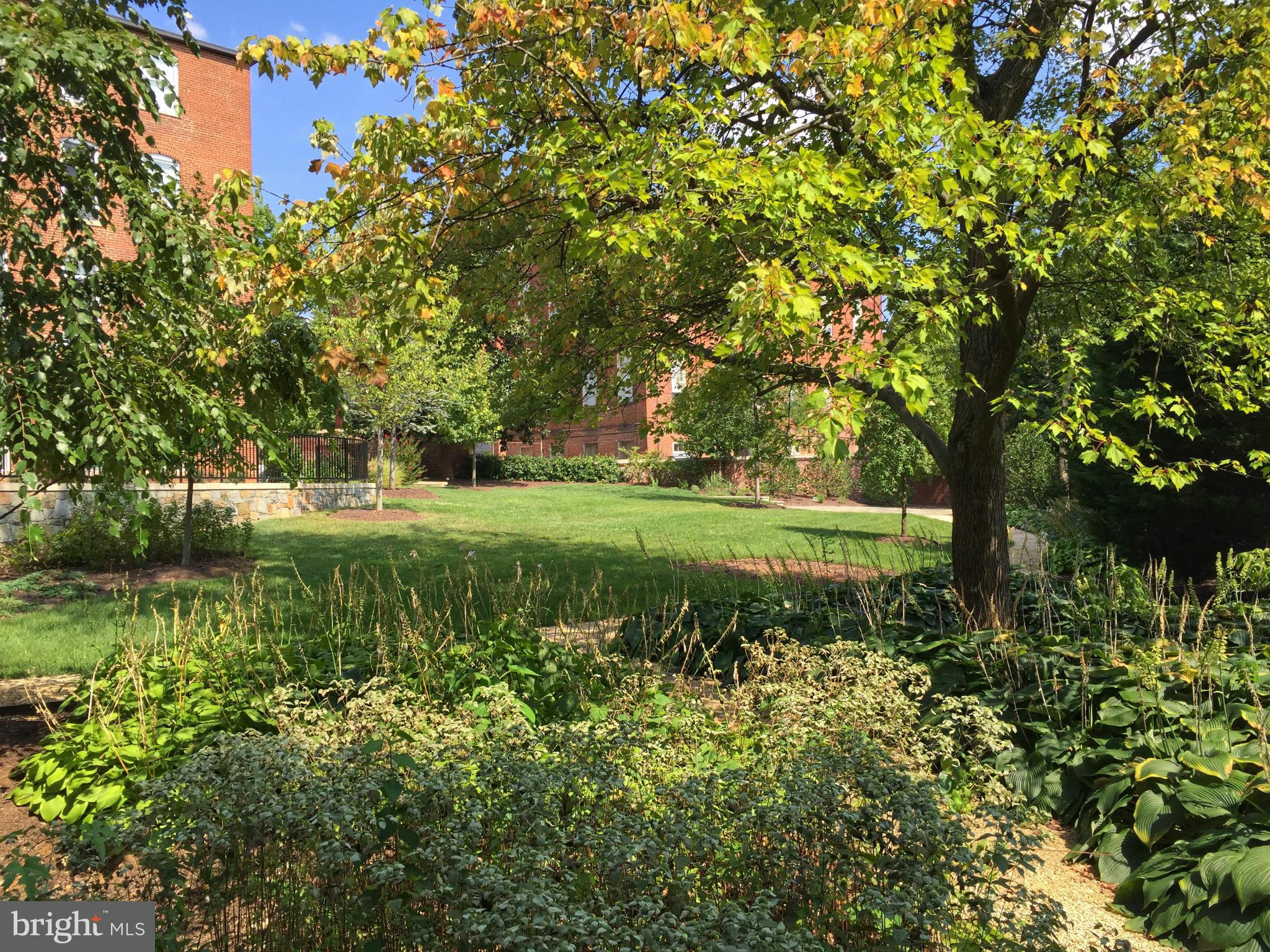 3052 R Street Northwest, Unit 302A Washington, DC 20007 - Photo 14 of 20 Community