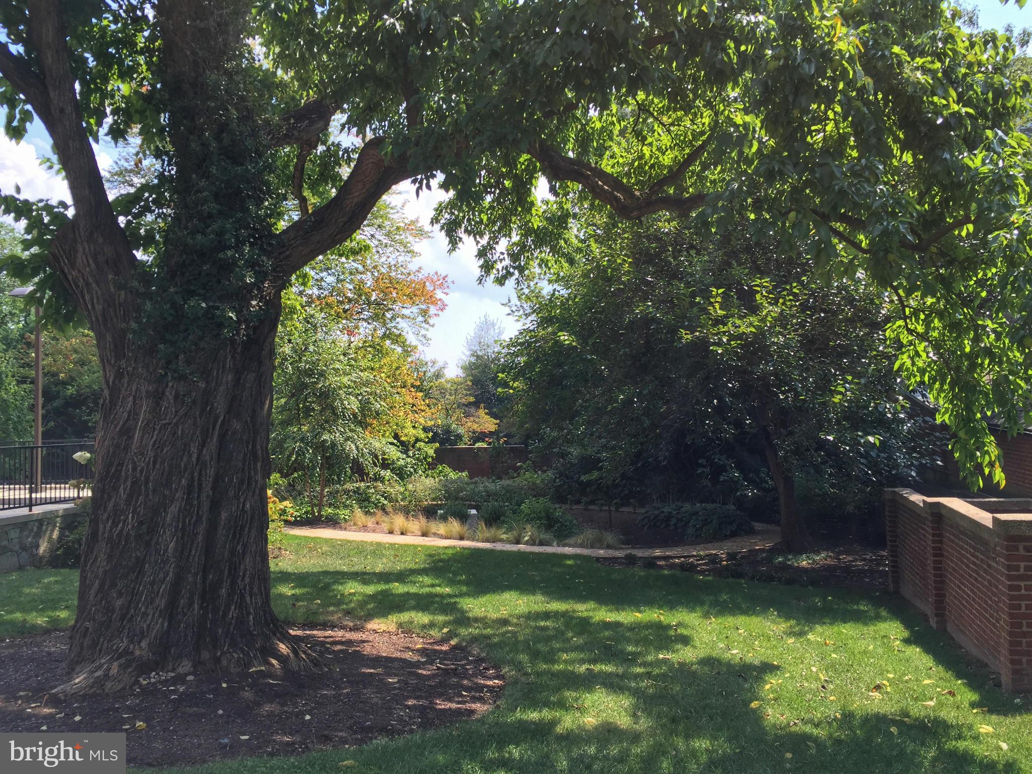 3052 R Street Northwest, Unit 302A Washington, DC 20007 - Photo 16 of 20 Community