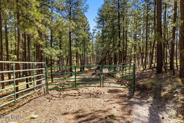 $125,000 | 11 County Road 2135, Alpine, AZ 85920