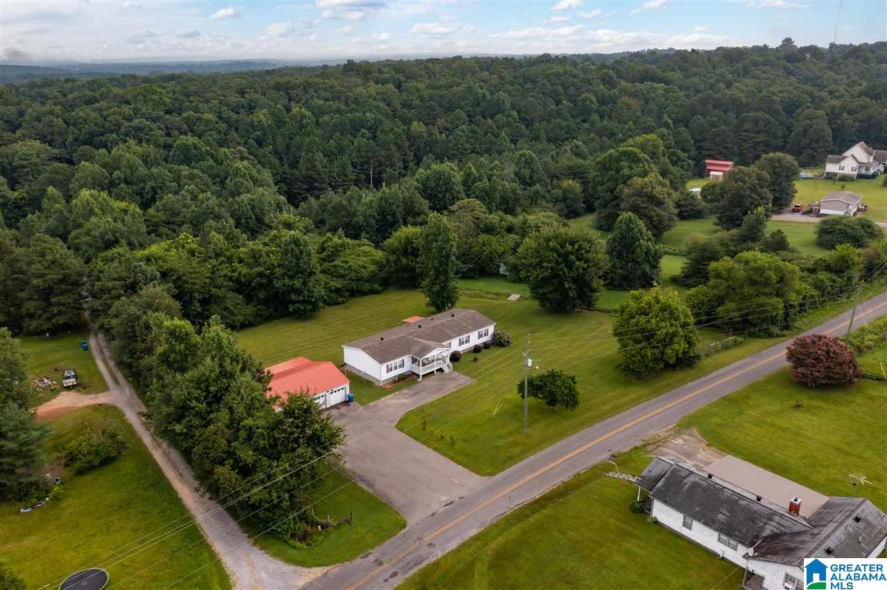 373 County Road 24 Springville, AL 35146 - Photo 36 of 43