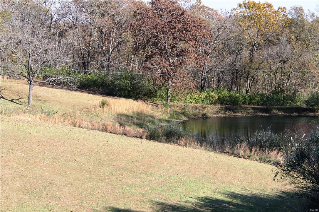 8405 Renken Road Worden, IL 62097 - Photo 4 of 77