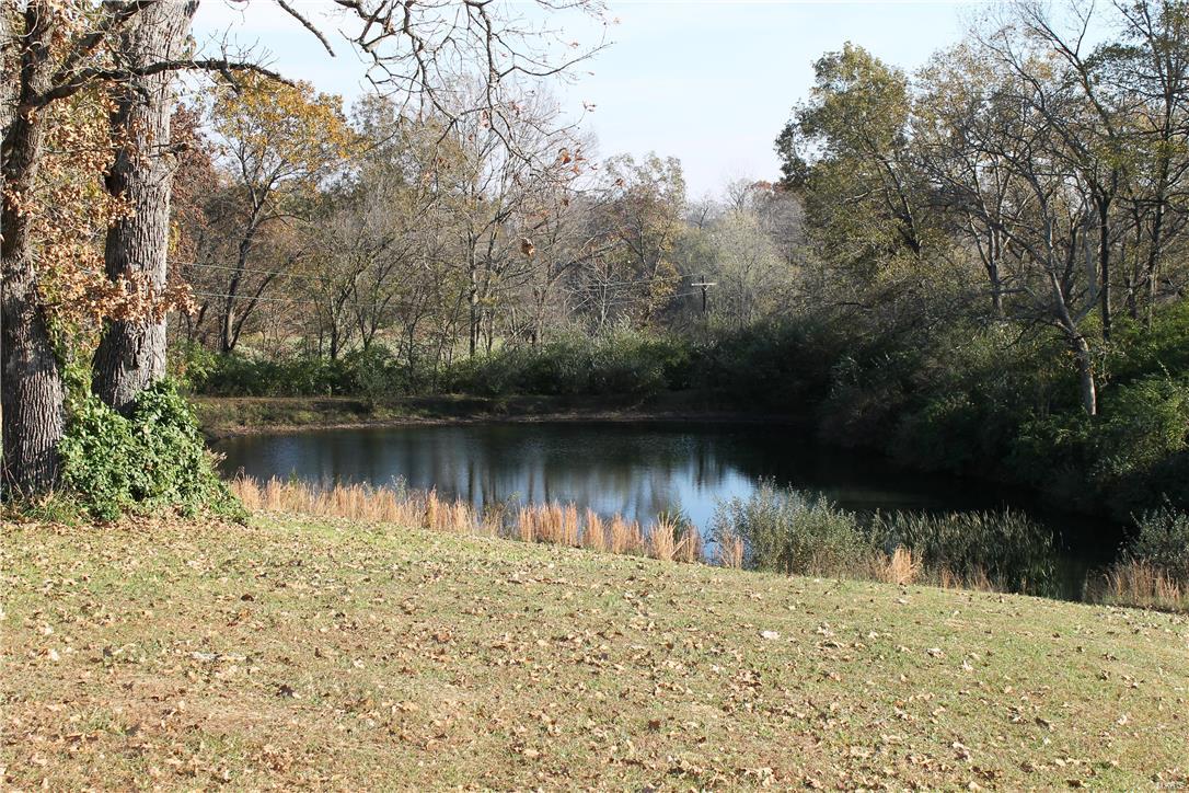 8405 Renken Road Worden, IL 62097 - Photo 42 of 77