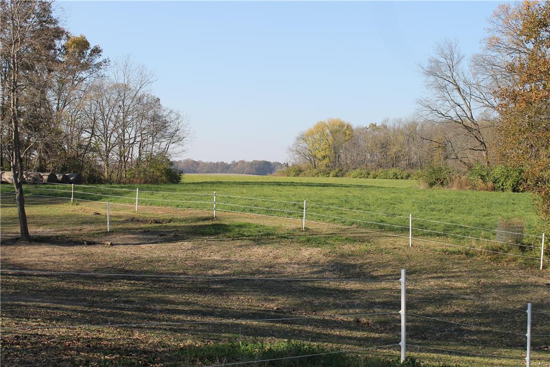 8405 Renken Road Worden, IL 62097 - Photo 54 of 77