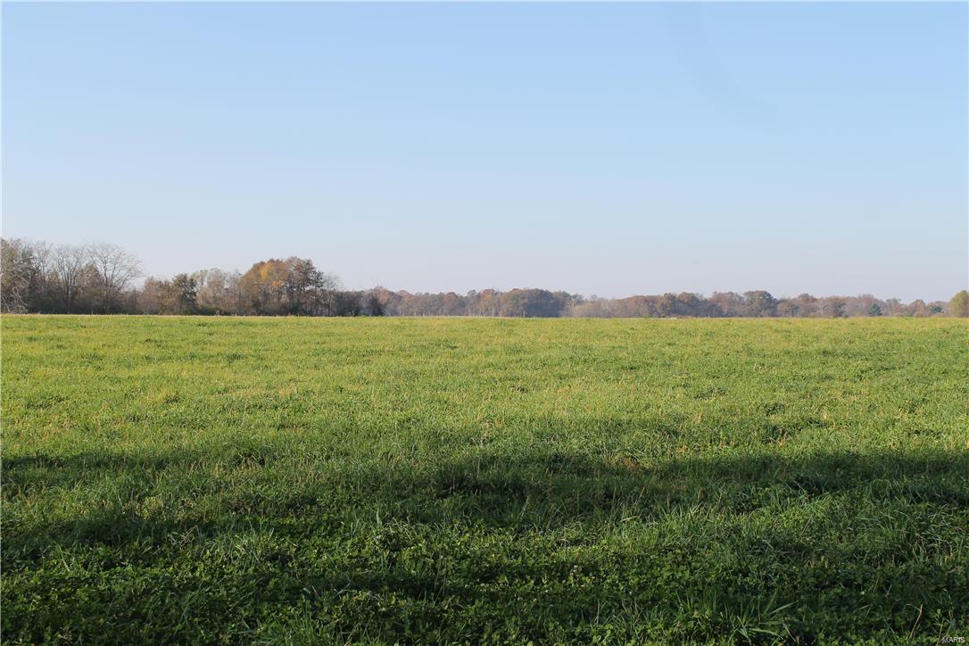8405 Renken Road Worden, IL 62097 - Photo 63 of 77