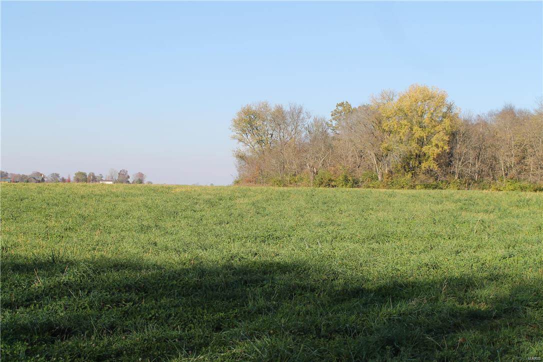 8405 Renken Road Worden, IL 62097 - Photo 64 of 77