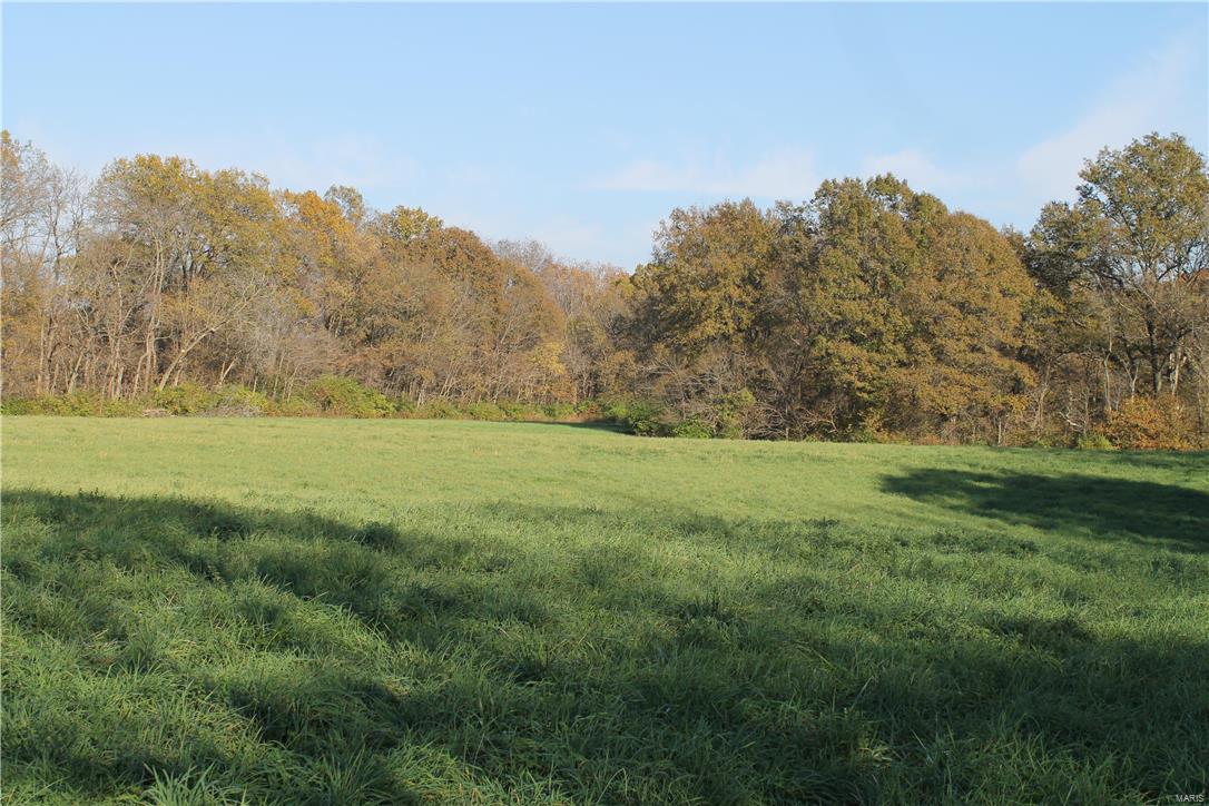 8405 Renken Road Worden, IL 62097 - Photo 65 of 77