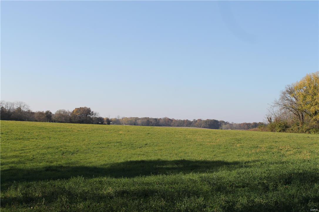 8405 Renken Road Worden, IL 62097 - Photo 67 of 77