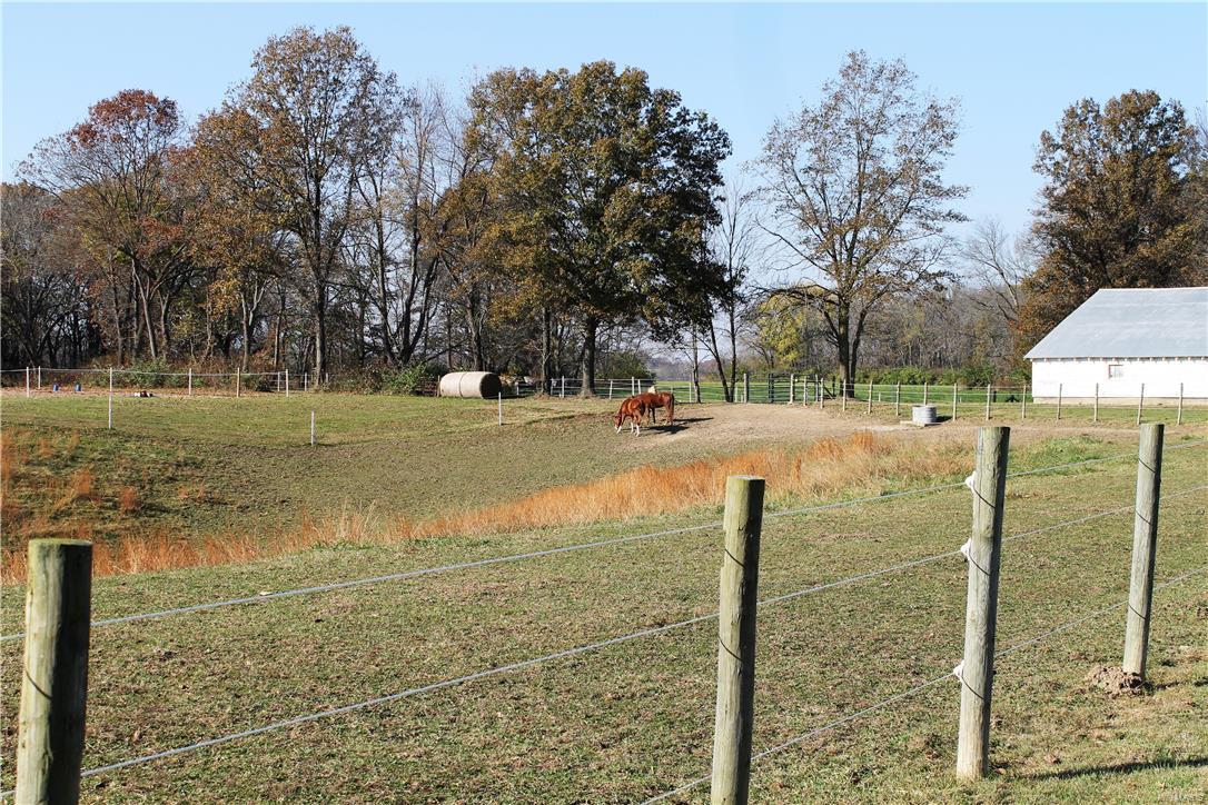 8405 Renken Road Worden, IL 62097 - Photo 75 of 77
