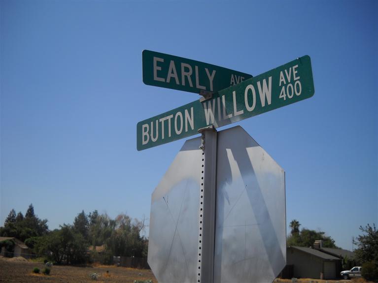 433 South Buttonwillow Avenue Reedley, CA 93654 - Photo 4 of 4 Gallery Image 4