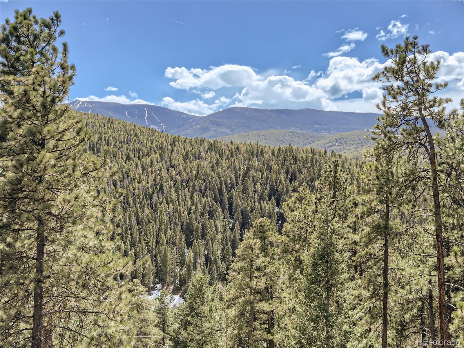 32936 Timber Ridge Road Evergreen, CO 80439 - Photo 35 of 39
