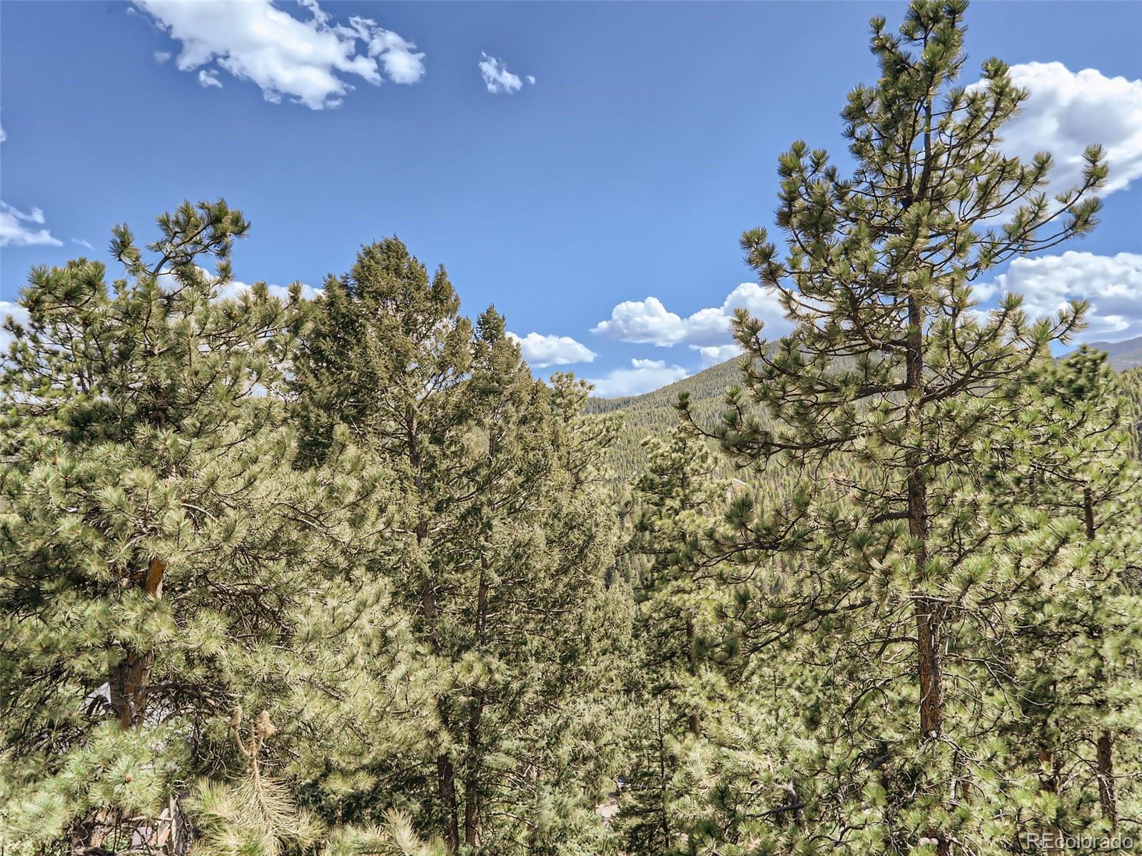 32936 Timber Ridge Road Evergreen, CO 80439 - Photo 36 of 39