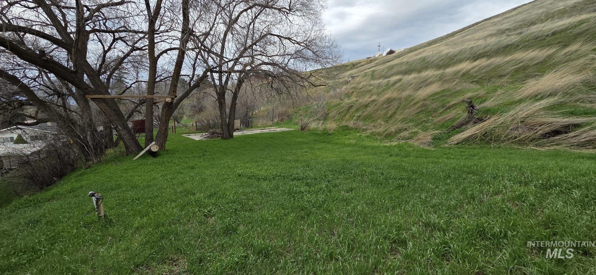 1269 Main Street Pomeroy, WA 99347 - Photo 9 of 38 View of yard
