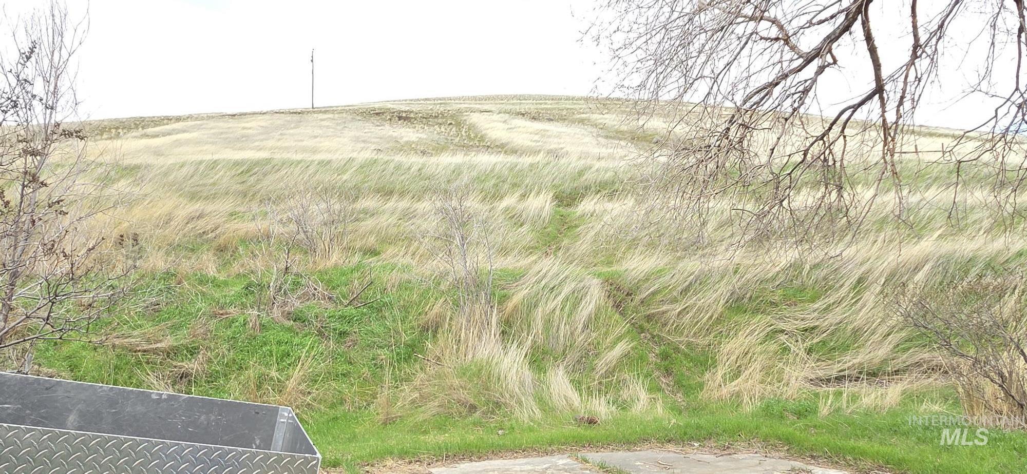 1269 Main Street Pomeroy, WA 99347 - Photo 10 of 38 View of local wilderness with rural landscape