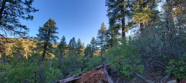 $650,000 | 5 Beaver Creek Ranch Drive, Bayfield, CO 81122