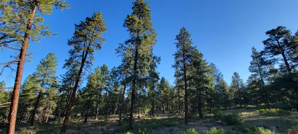 $650,000 | 5 Beaver Creek Ranch Drive, Bayfield, CO 81122