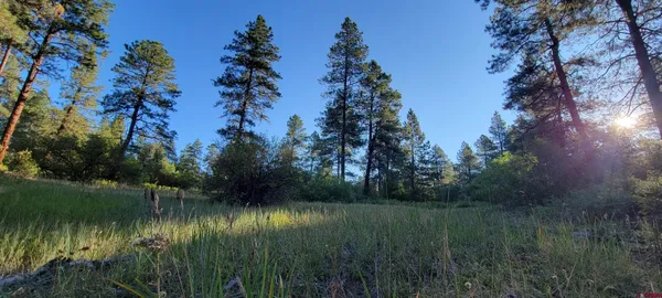 $650,000 | 5 Beaver Creek Ranch Drive, Bayfield, CO 81122