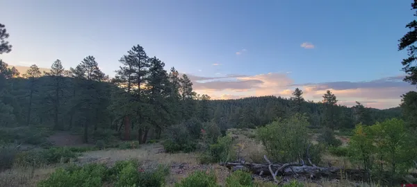 $650,000 | 5 Beaver Creek Ranch Drive, Bayfield, CO 81122