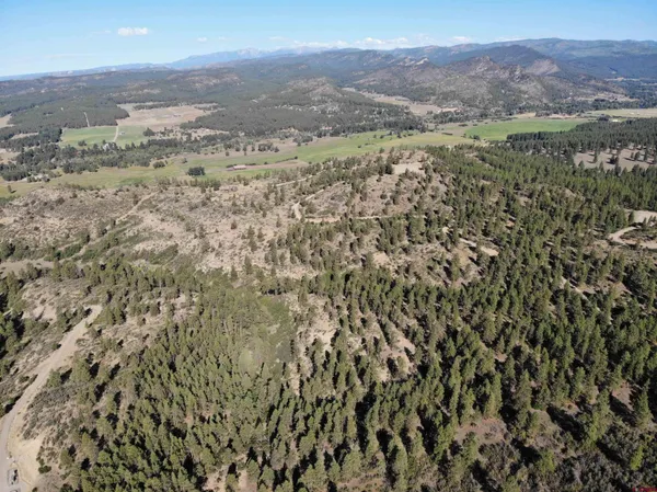 $650,000 | 5 Beaver Creek Ranch Drive, Bayfield, CO 81122