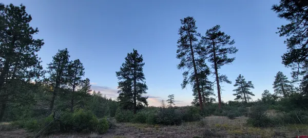 $650,000 | 5 Beaver Creek Ranch Drive, Bayfield, CO 81122